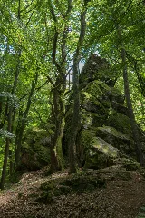 Mk13004 Grauer Stein