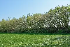 Mühlenbarbek, Reste Der Bahnstrecke Wrist–Itzehoe Nik 5051