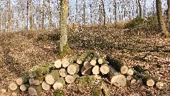 Nachmittag Auf Dem Hügel 12.3.2011 Panoramio