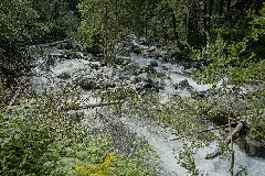 Natur In Der Rabischschlucht 20190819 001