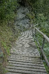 Natur In Der Rabischschlucht 20190819 003
