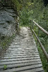 Natur In Der Rabischschlucht 20190819 004