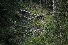 Natur In Der Rabischschlucht 20190819 005