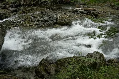 Natur In Der Rabischschlucht 20190819 008
