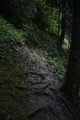 Natur In Der Rabischschlucht 20190819 009