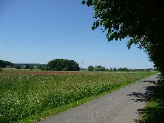 Naturdenkmal Bifurkation (Teilung Von Hase Und Else) Melle Gesmold Datei 1