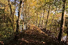 Naturdenkmal Feuchtgebiet Ziegelei 2H1A0386Wi