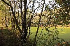 Naturdenkmal Feuchtgebiet Ziegelei In Niederwürschnitz 2H1A0347Wi