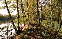 Naturdenkmal Feuchtgebiet Ziegelei In Niederwürschnitz 2H1A0361Wi