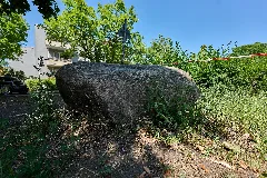 Naturdenkmal Findling Am Rathaus Reinickendorf Berlin Wittenau 2025 06 21 01