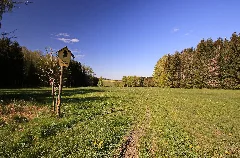Naturdenkmal Schettler Wiese In Sachsen 2H1A3469Wi