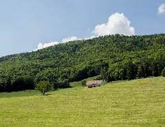 Naturpark Thal Cassinam 113