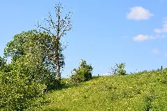 Naturschutzgebiet Aabereich Mellingen 2