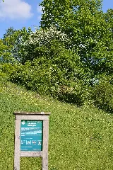 Naturschutzgebiet Aabereich Mellingen