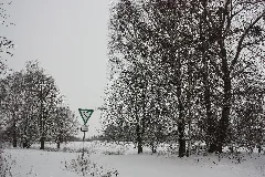 Naturschutzgebiet Ehemalige Klärteiche Bei Hattrop Img 1 0281
