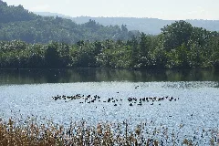 Naturschutzgebiet Freudenthal Bei Witzenhausen (3)