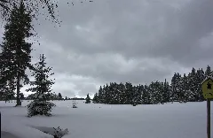 Naturschutzgebiet Halbmeiler Wiesen Im Winter