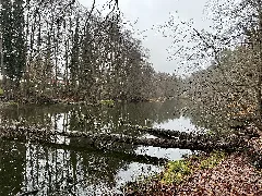 Naturschutzgebiet Lange Dammwiesen Und Unteres Annatal Lub 2025 12 13 Img01 Schwanenteich