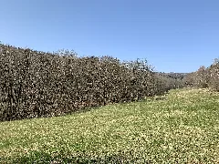 Naturschutzgebiet Reichenbachtal (1)