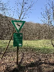 Naturschutzgebiet Reichenbachtal