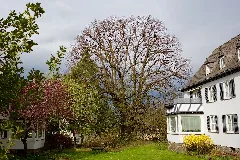 Nd Gs 35, Stollenlinde