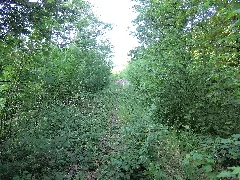 Nebenbahn Finnentrop Wenholthausen (5777995686)