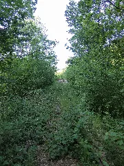 Nebenbahn Finnentrop Wenholthausen (5778012262)