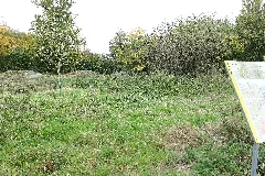 Nesenbach Quellgebiet Renaturierung 02