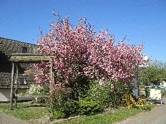 Neu Grambow