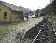 Neubruck Bf 01