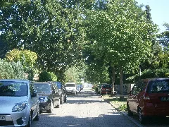 Neukölln Rudow Bornaer Straße P8250034 (22)