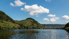 Neumagen Dhron, Mosel 2015 7555