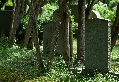 New Jewish Cemetery Munich Imgp3689