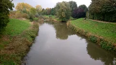 Niddermündung
