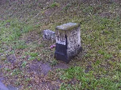 Nieder Wöllstadt, 41 Km Stein