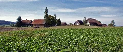 Niederbottigen