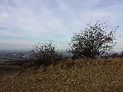 Nö Naturdenkmal Ko 008 Felsgebilde Sl4