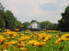 Nordpark Düsseldorf Springbrunnen