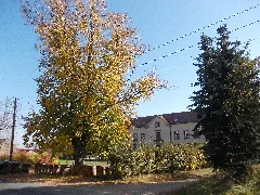 Noßwitzhauptstr37