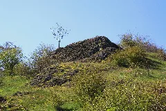 Nsg Buchschirmküppel (09)