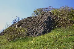 Nsg Buchschirmküppel (12)