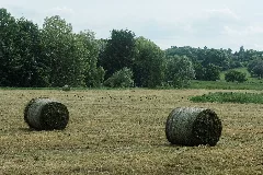 Nsg Wurmtal Heuballen