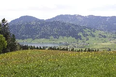 Oberägeri Panoramio (15)