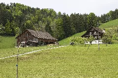 Oberägeri Panoramio (31)