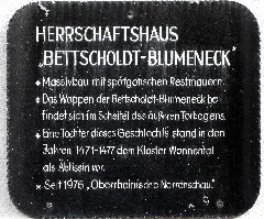 Oberrheinische Narrenschau In Kenzingen Tafel