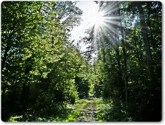 Oberwald Panoramio