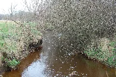 Ohrtbrookgraben 01