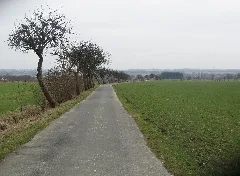 On The Track Between Soest And Paradiese