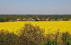 Opr Hakenberg Aussicht Vom Schlachtdenkmal