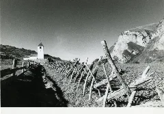 Paolo Monti Servizio Fotografico Beic 6342674